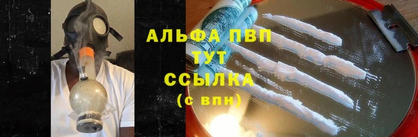 МДПВ Нея