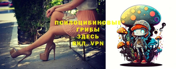 МДПВ Нея