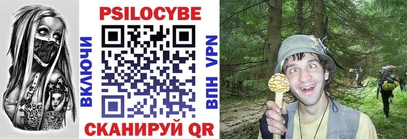 Псилоцибиновые грибы мухоморы  нарко площадка как зайти  Усть-Катав 